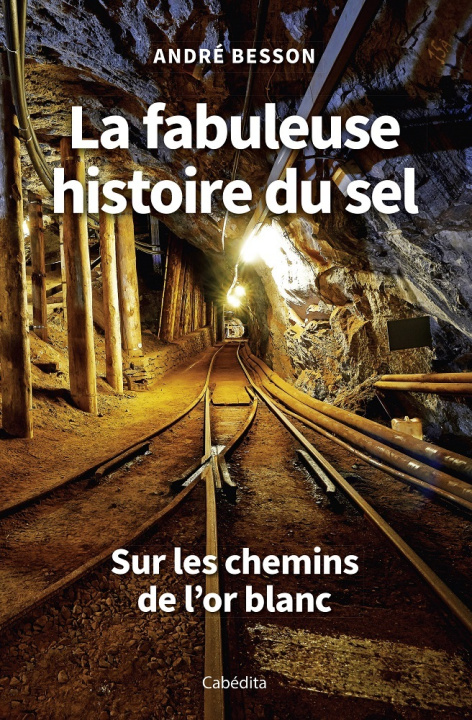 Kniha LA FABULEUSE HISTOIRE DU SEL BESSON
