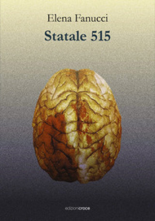 Kniha Statale 515 Elena Fanucci