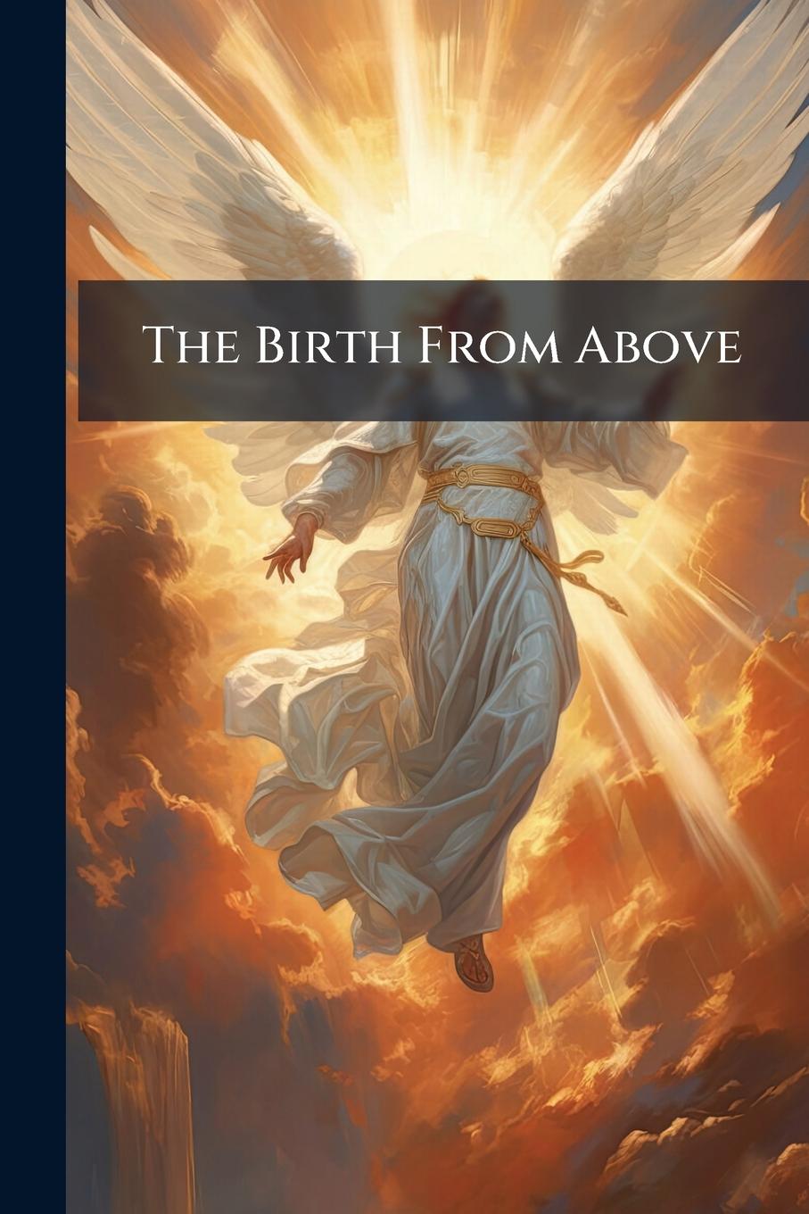 Kniha The Birth From Above 