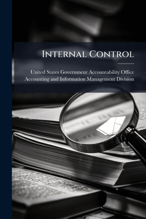 Kniha Internal Control 