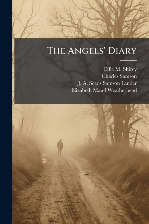 Knjiga The Angels' Diary Effie M. Shirey ((Spirit))