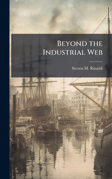 Knjiga Beyond the Industrial Web Steven M. Rinaldi