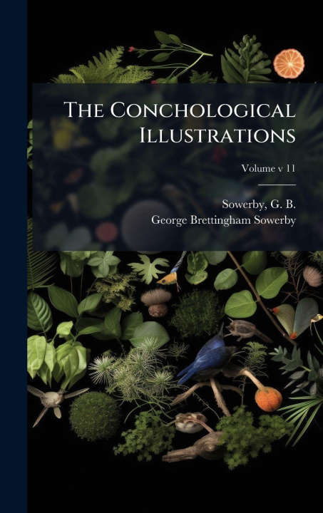 Book The Conchological Illustrations George Brettingham 1788-1854 Sowerby