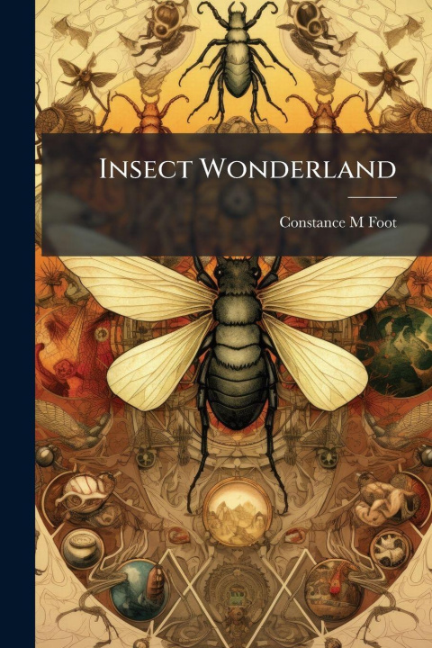 Kniha Insect Wonderland Constance M Foot