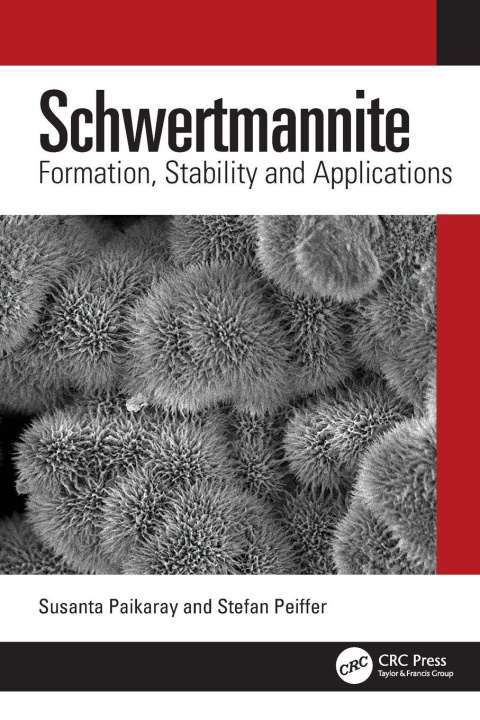 Buch Schwertmannite Susanta Paikaray