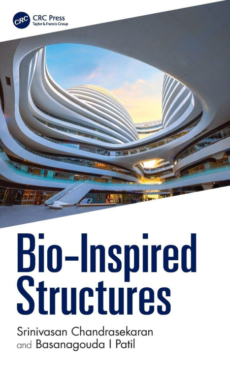 Kniha Bio-Inspired Structures Basanagouda I Patil
