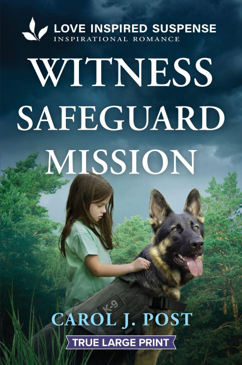 Kniha Witness Safeguard Mission 
