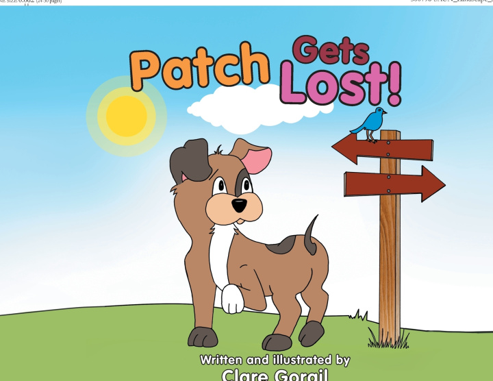 Kniha Patch Gets Lost! Clare Gorail