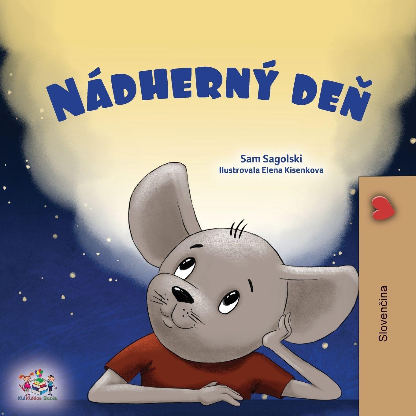 Kniha A Wonderful Day (Slovak Children's Book) Kidkiddos Books