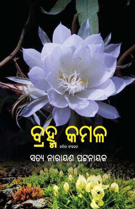 Kniha Brahma Kamal Satyanarayan Pattanayak