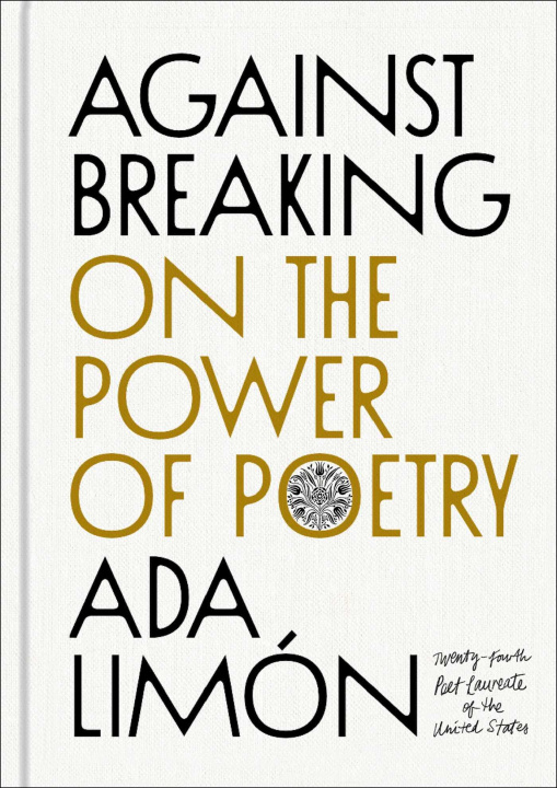 Buch Against Breaking LIMON ADA