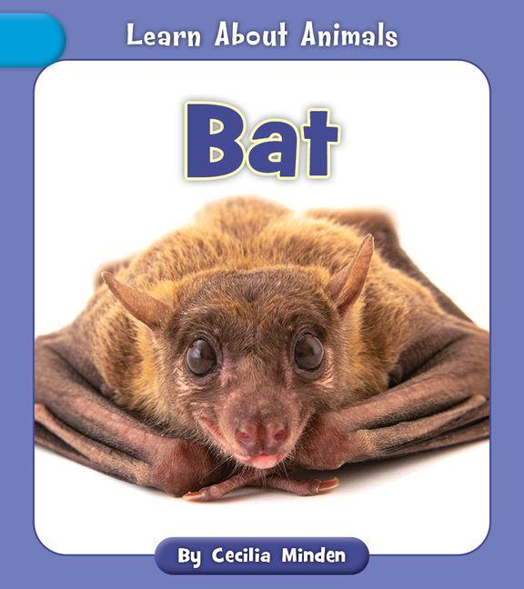 Kniha Bat 