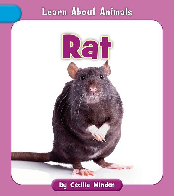 Knjiga Rat 