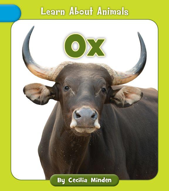 Carte Ox 