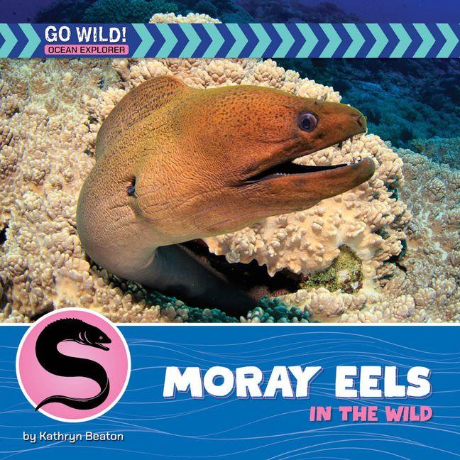 Carte Moray Eels in the Wild 