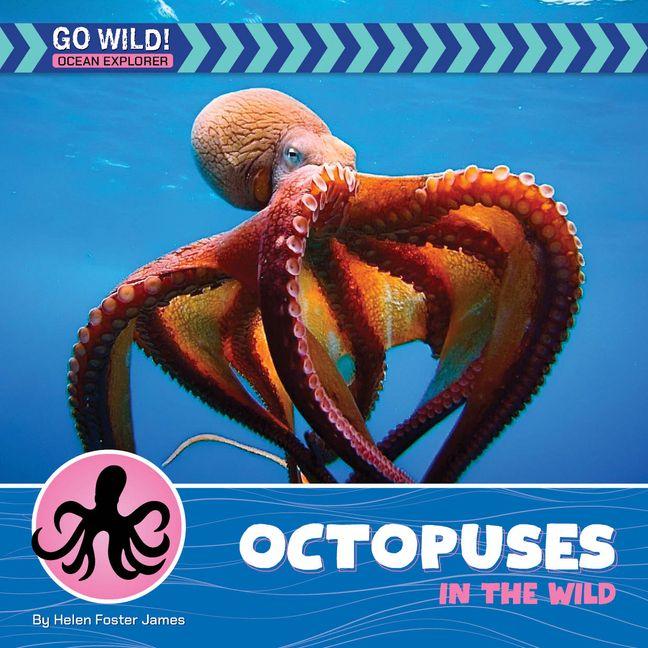 Carte Octopuses in the Wild Helen Foster James