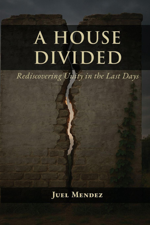 Knjiga A House Divided Juel Mendez