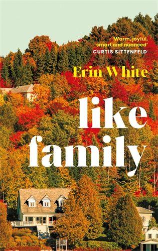 Βιβλίο Like Family Erin White
