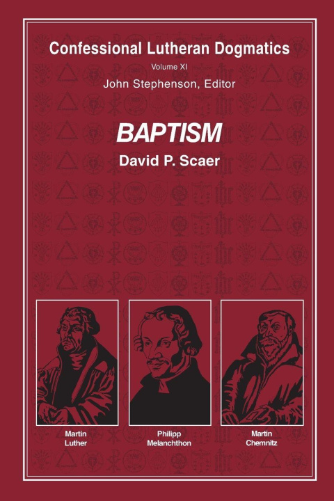Kniha Baptism (paperback) David P. Scaer