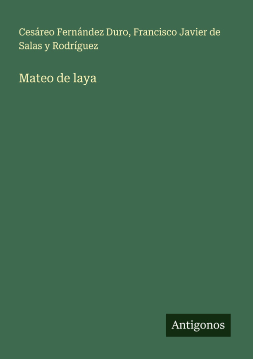 Kniha Mateo de laya Francisco Javier de Salas y Rodríguez