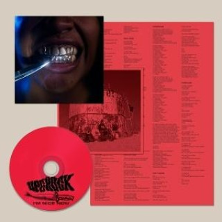 Audio I'm Nice Now Upchuck