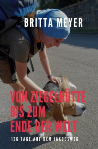 Kniha Von Ziegelhütte bis zum Ende der Welt Britta Meyer