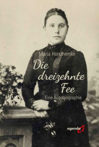Kniha Die dreizehnte Fee Maria Horsthemke