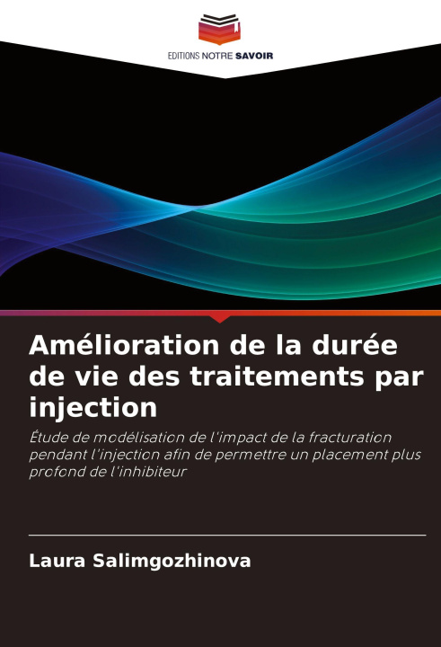 Kniha Amélioration de la durée de vie des traitements par injection Laura Salimgozhinova