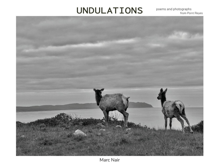 Kniha Undulations Marc Nair