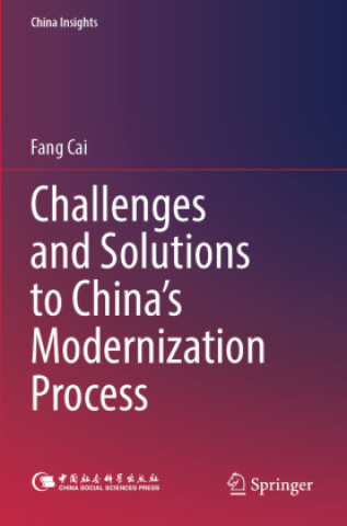 Buch Challenges and Solutions to China's Modernization Process Lei Qu