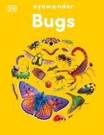 Eyewonder Bugs