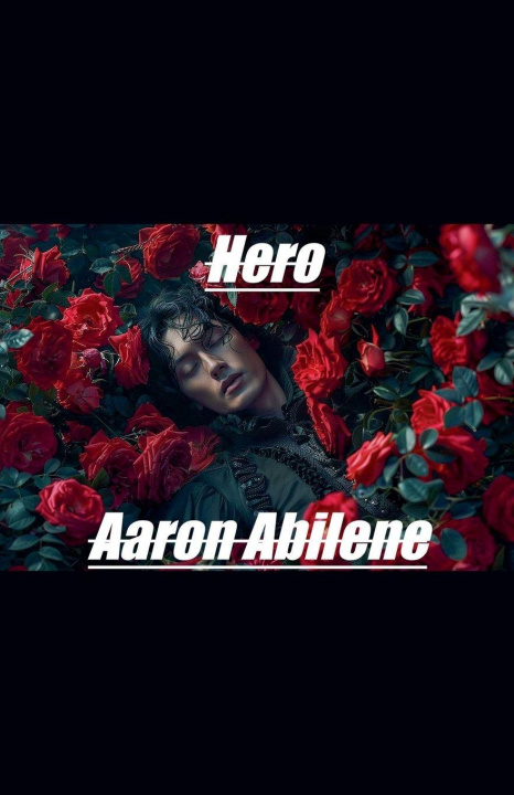 Libro Hero Aaron Abilene