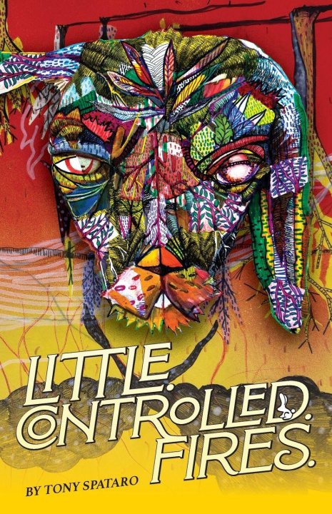 Kniha Little.Controlled.Fires. Tony Spataro