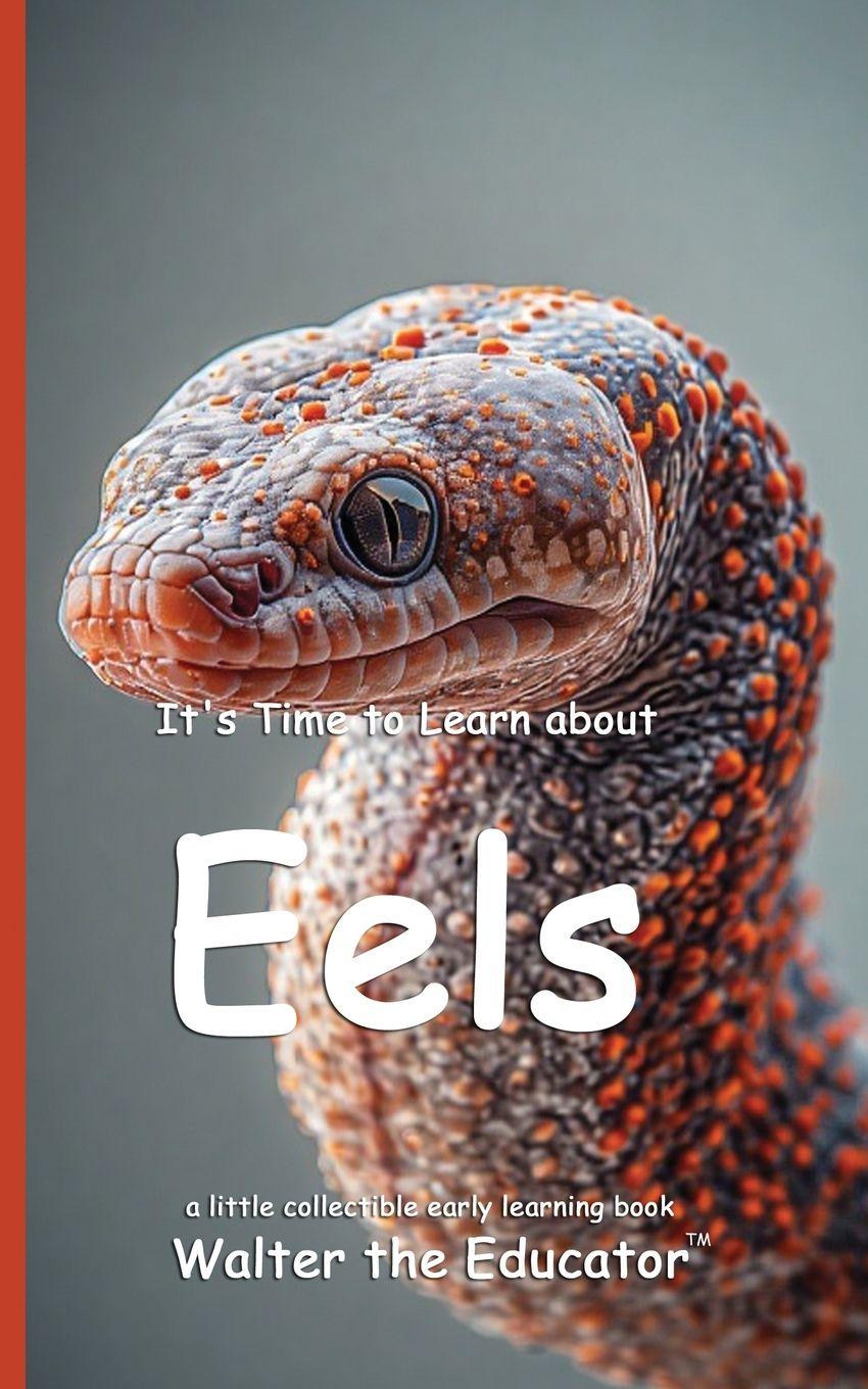 Kniha It's Time to Learn about Eels Walter the Educator