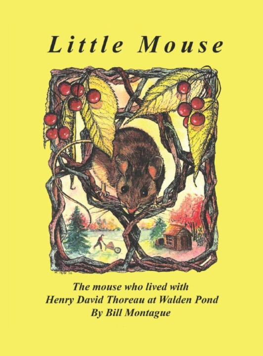 Kniha Little Mouse Bill Montague