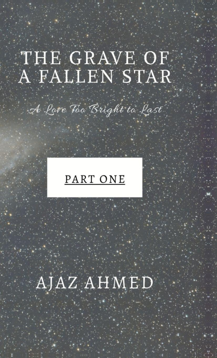 Boek The Grave of a Fallen Star Ajaz Ahmed