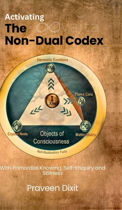 Kniha Activating the Non-Dual Codex Praveen Dixit