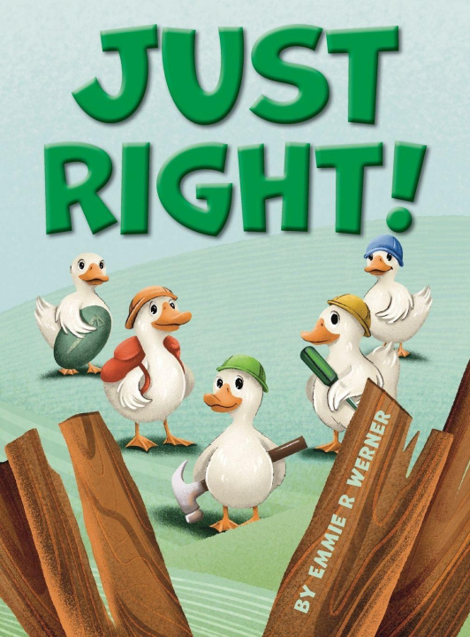 Buch Just Right! Emmie Warner