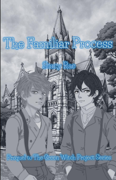 Kniha The Familiar Process Stacy Rae