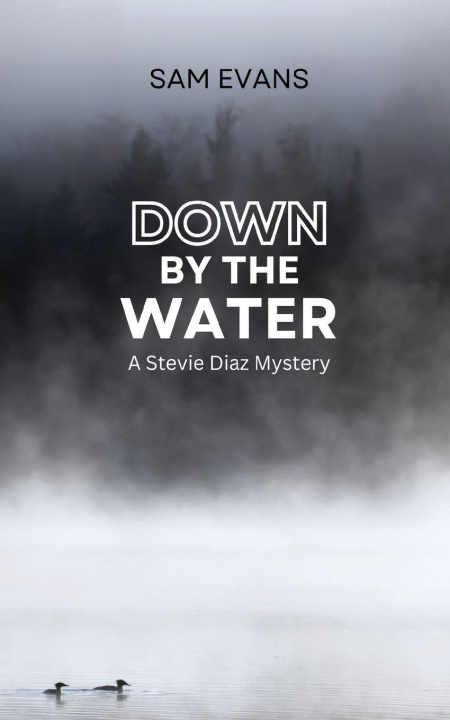 Buch Down by the Water Sam Evans