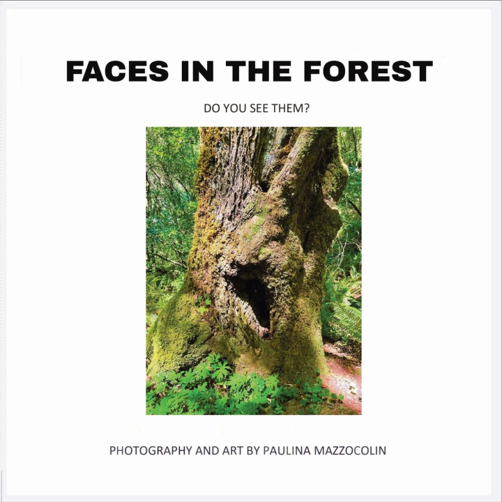 Kniha Faces in the Forest Paulina Mazzocolin
