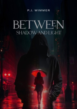 Kniha Between Shadow and Light Bianca Wimmer