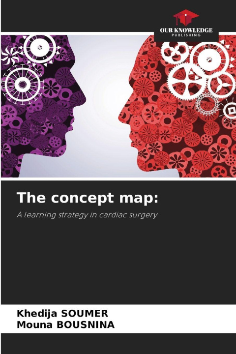 Kniha The concept map: Khédija SOUMER
