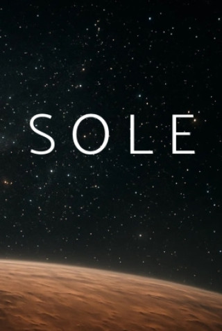 Libro SOLE Lasse Zu Lohberg