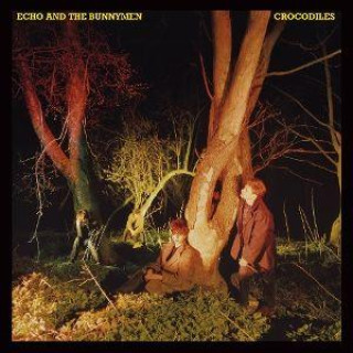 Audio Crocodiles - CD & The Bunnymen Echo