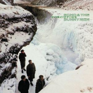 Audio Porcupine - CD & The Bunnymen Echo
