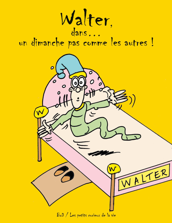 Kniha WALTER DANS DIMANCHE PAS COMME AUTRES SIMON-BOIDO ELISABETH