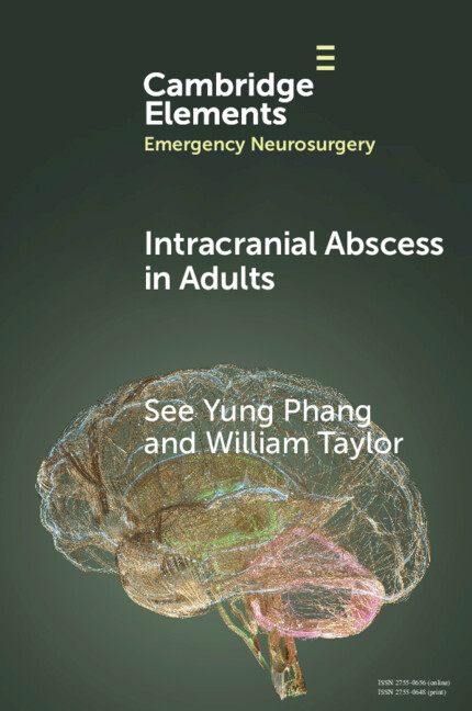 Kniha Intracranial Abscess in Adults See Yung Phang