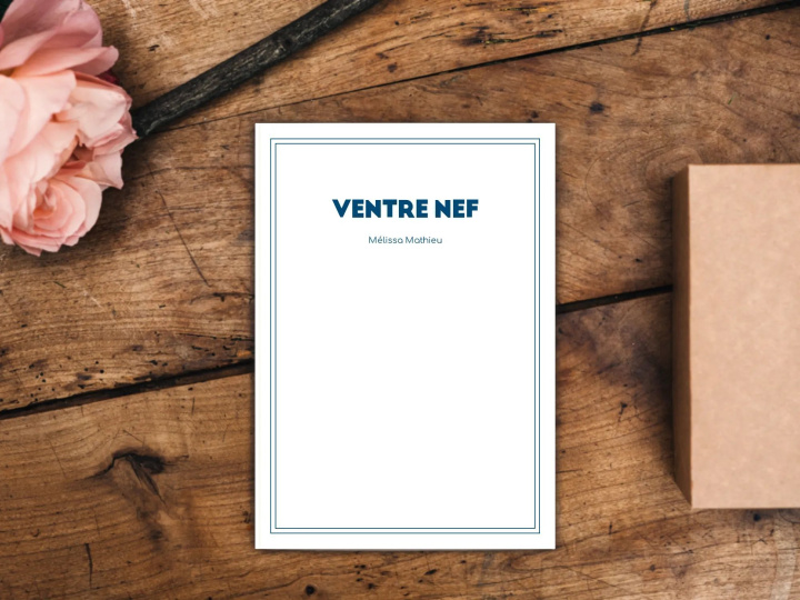 Libro Ventre nef Mathieu