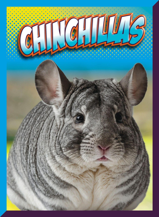 Kniha Chinchillas Storm